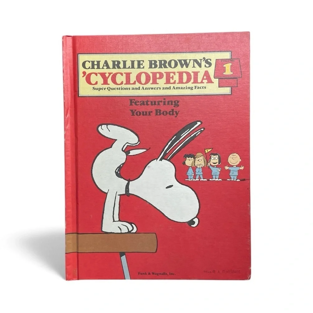 Charlie Brown discover fun